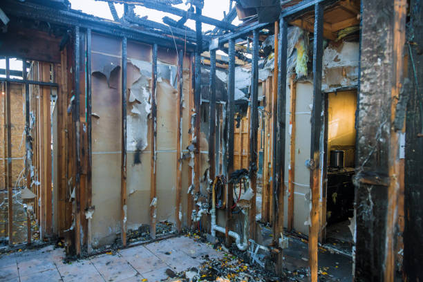 Professional Structural Rebuild technician working in Hampton, MN